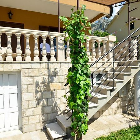 Apartmani Cetkovic Kotor Rom bilde